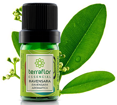 Terra Flor Óleo Essencial de Ravensara 5ml