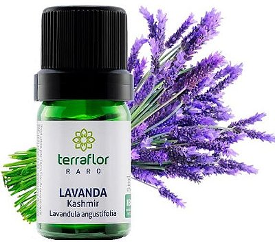 Óleo Essencial de Lavanda Puro | Aromaterapia