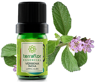 Terra Flor Óleo Essencial de Verbena Índia 5ml