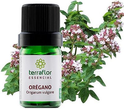 Terra Flor Óleo Essencial de Orégano 5ml