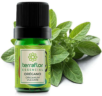 Terra Flor Óleo Essencial de Orégano 5ml