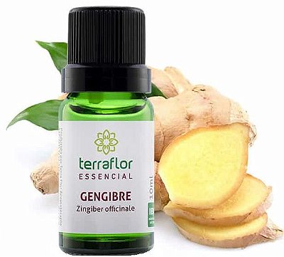 Terra Flor Óleo Essencial de Gengibre 10ml