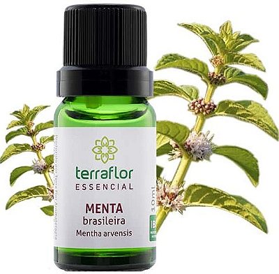 Terra Flor Óleo Essencial de Menta Brasileira 10ml