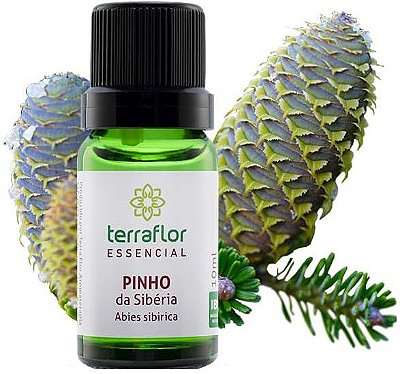 Terra Flor Óleo Essencial de Pinho da Sibéria 10ml