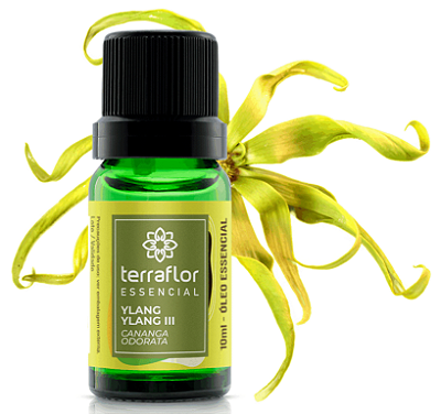 Terra Flor Óleo Essencial de Ylang Ylang III 10ml