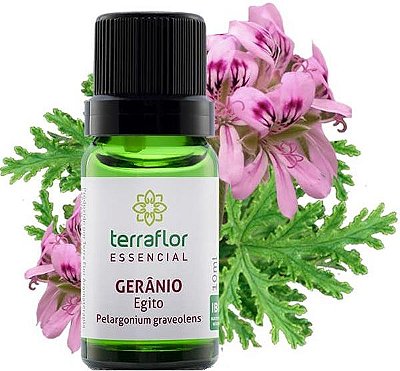 Terra Flor Óleo Essencial de Gerânio GT Egito 10ml