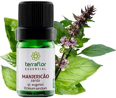 Terra Flor Óleo Essencial de Manjericão Santo 5ml