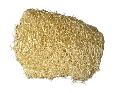 Bucha Vegetal 1un