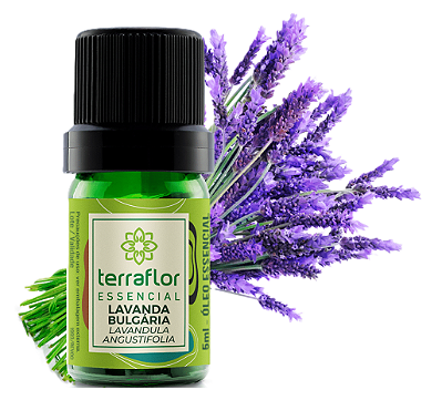 Terra Flor Óleo Essencial de Lavanda da Bulgária 5ml