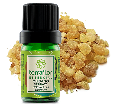 Terra Flor Óleo Essencial de Olíbano Serrata 5ml