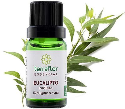 Terra Flor Óleo Essencial de Eucalipto Radiata 10ml