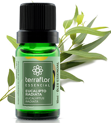 Terra Flor Óleo Essencial de Eucalipto Radiata 10ml