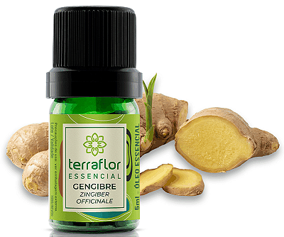 Terra Flor Óleo Essencial de Gengibre 5ml