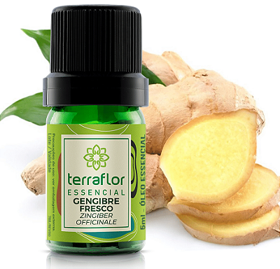 Terra Flor Óleo Essencial de Gengibre Fresco 5ml