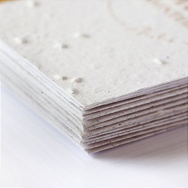 Cartão ou TAG 7X7 cm Papel Semente