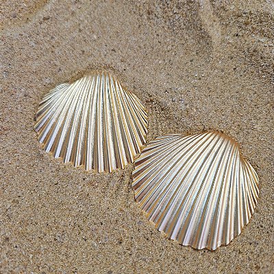 Brinco Concha Maxi Dourado Texturizado – Coleção Beleza Marinha 2026