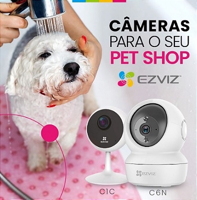 Cameras wifi