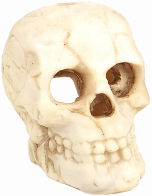Enfeite BBB Pet Skull