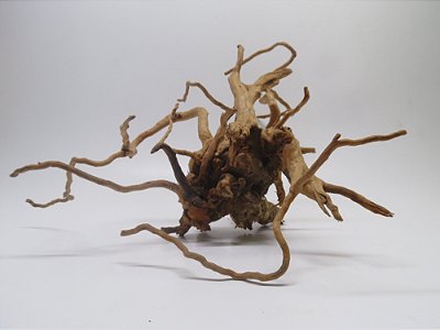 Raíz OceanTech Natural Root