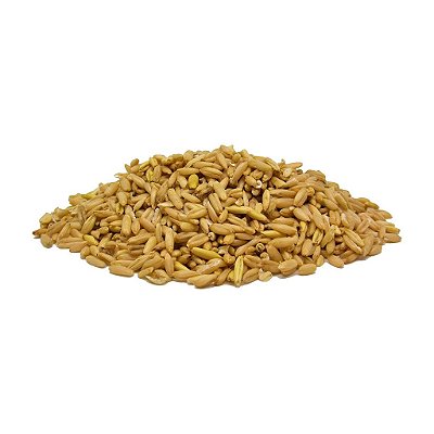 Alimento Pássaro Forte Aveia sem Casca