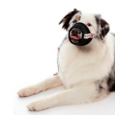 Roupas Pet Med Protetor Especiais Focinheira Para Contenção