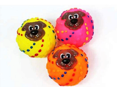J0653 Bola Pet Lider Carinha 1un