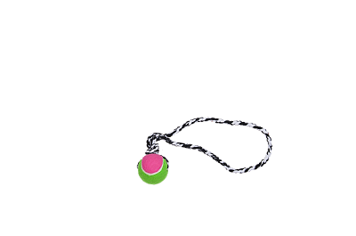 Cod.: 247 Push Dog Ball B 470mm