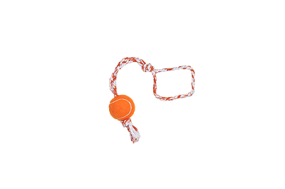 Cod.: 67 Push Dog Ball LCM 500mm