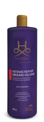 Hidratação Hydra Intense Repair Máximo Volume 480ml