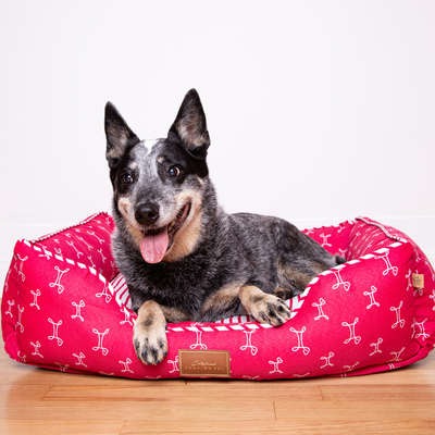 Cama Munique Pink