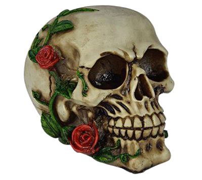 Crânio com Rosas Vermelhas