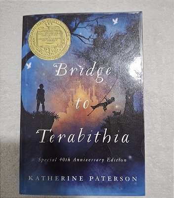 USADOS - LIVROS WONDER E BRIGDE TO TERABITHIA