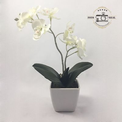 ARRANJO MINI DE ORQUIDEA