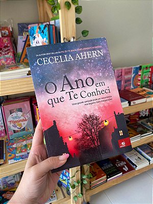 O Ano em que Te Conheci