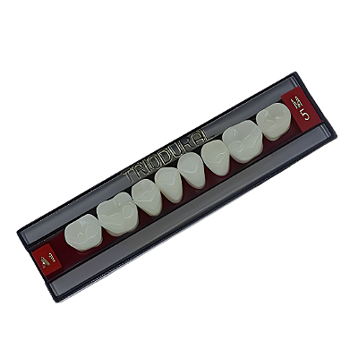 Dentes 3 Camadas Tripla Prensagem Triodural Posterior Superior