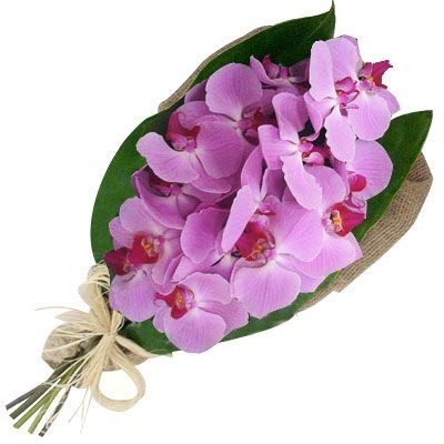 Ramalhete de Flores - Orquidea Rosa