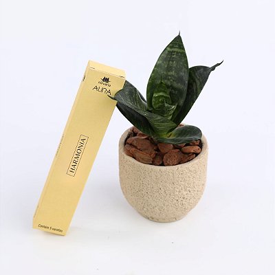 Kit Boas Energias (Mini Espada + Incenso)