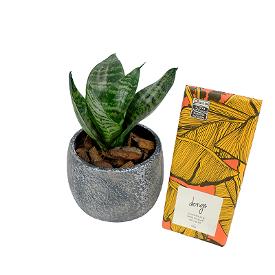 Kit Espadinha + Chocolate Dengo