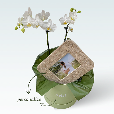 *Kit Orquídea Phalaenopsis com Porta-Retrato