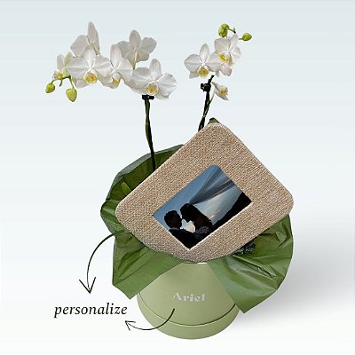 *Kit Orquídea Phalaenopsis com Porta-Retrato