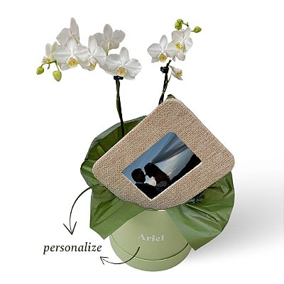 *Kit Orquídea Phalaenopsis com Porta-Retrato
