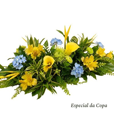 Caminho de Mesa Copa do Mundo