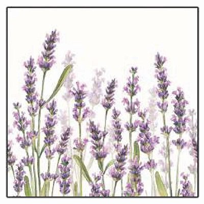 Guardanapo - Lavander Shades - 33x33cm - 13315985