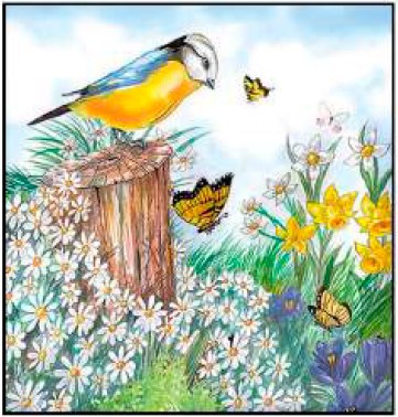 Guardanapo - 13317010 - Bird Whatching - 33x33cm