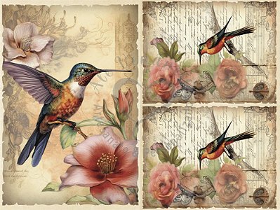 Papel De Seda - S55 - Coleção Scrap Seda 40x30cm