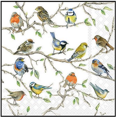 Guardanapo - 13314975 - Birds Meeting - 33x33cm