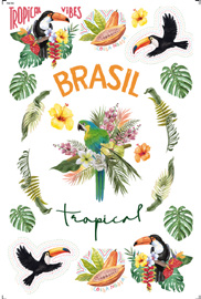 Transfer de Imagem - TIB-105 - Big - Tropical