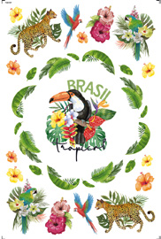 Transfer Espelhado de Imagem - TEB-007 - Big - Tucano 19,5 x 29,5