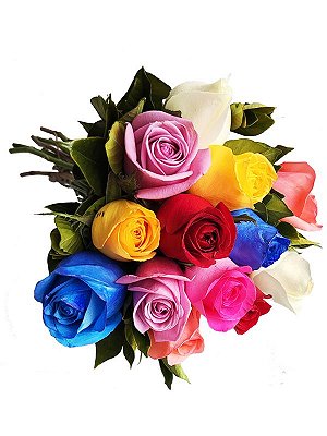 Buquê 12 rosas coloridas