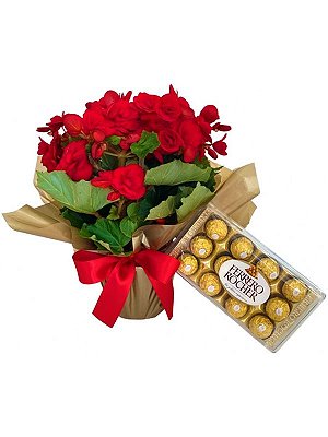 Begônia e Ferrero Rocher
